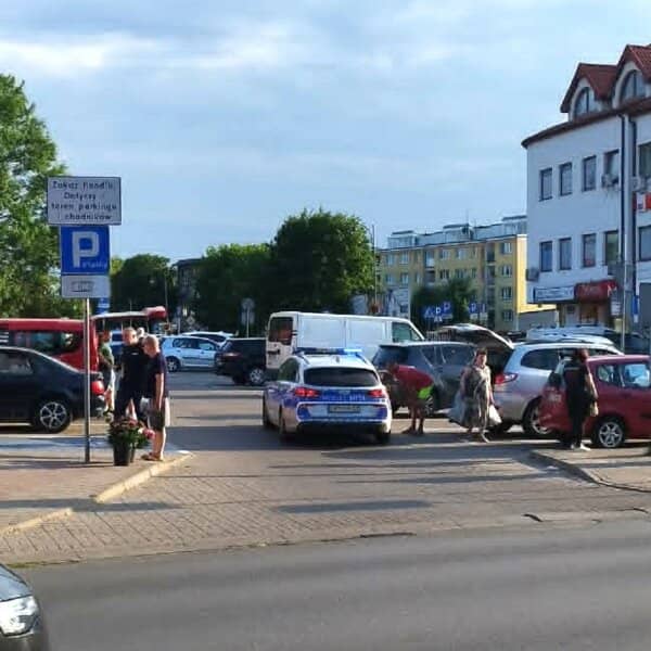Zdjęcie