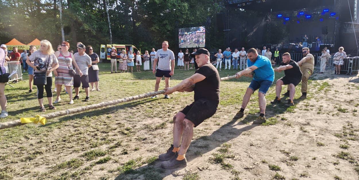 Zdjęcie