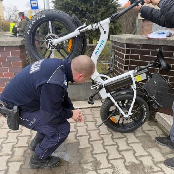 Zdjęcie