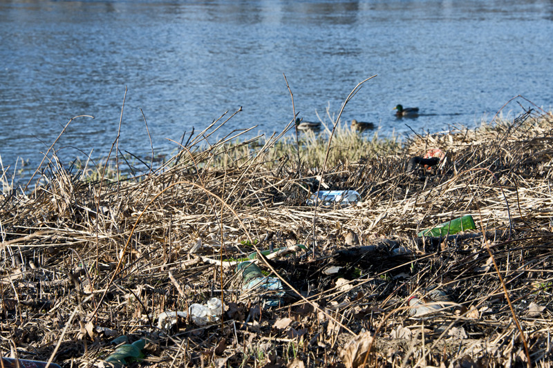 Śmieci, śmieci, wszędzie śmieci?