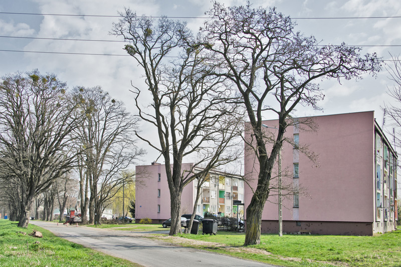 Pawłowice - galeria zdjęć