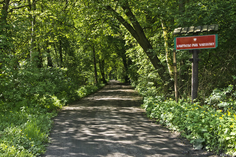 Kromnów. Historia wiecznie żywa