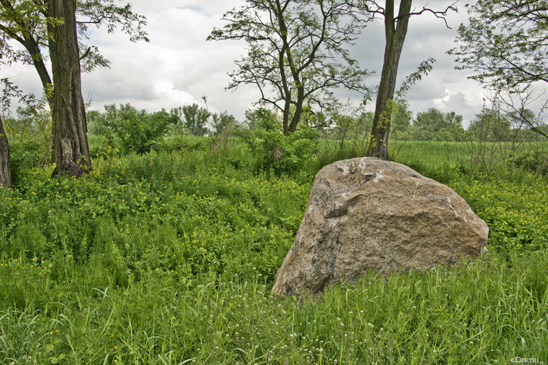 Kromnów. Historia wiecznie żywa