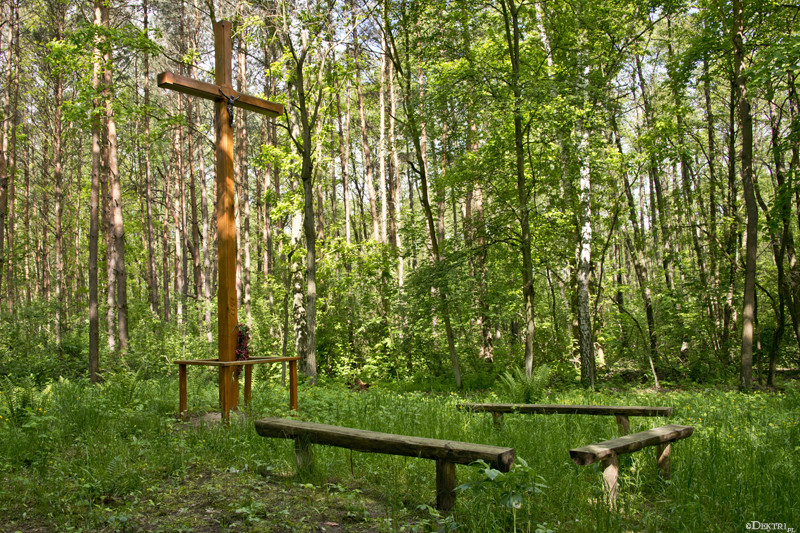 Kromnów. Historia wiecznie żywa