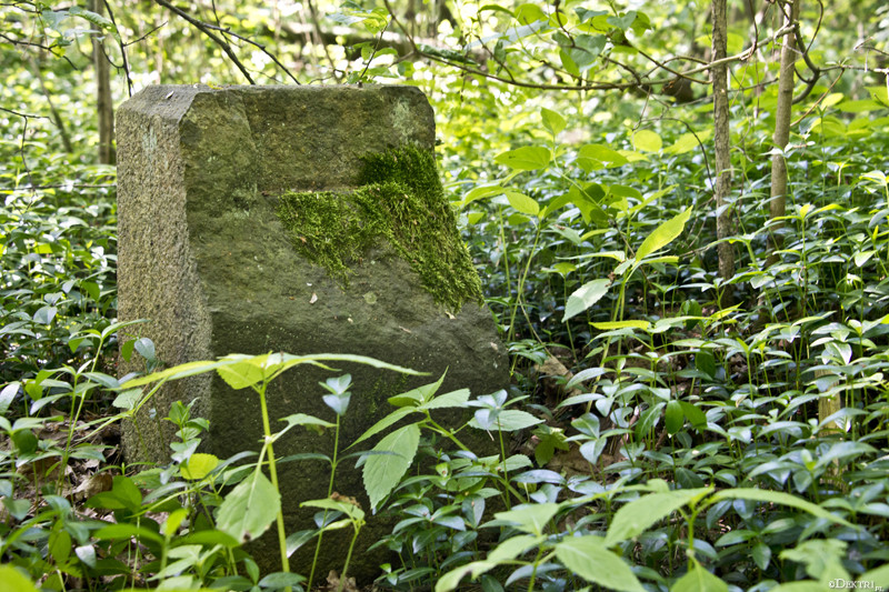 Kromnów. Historia wiecznie żywa