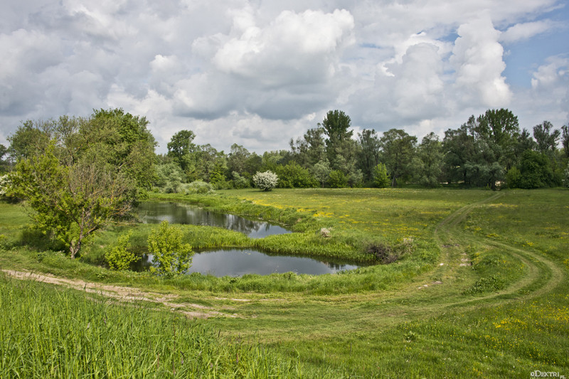 Kromnów. Historia wiecznie żywa