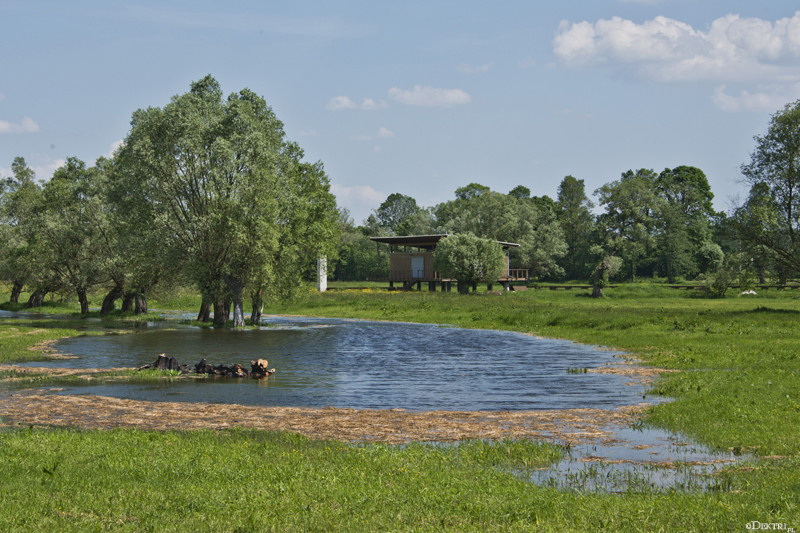 Kromnów. Historia wiecznie żywa
