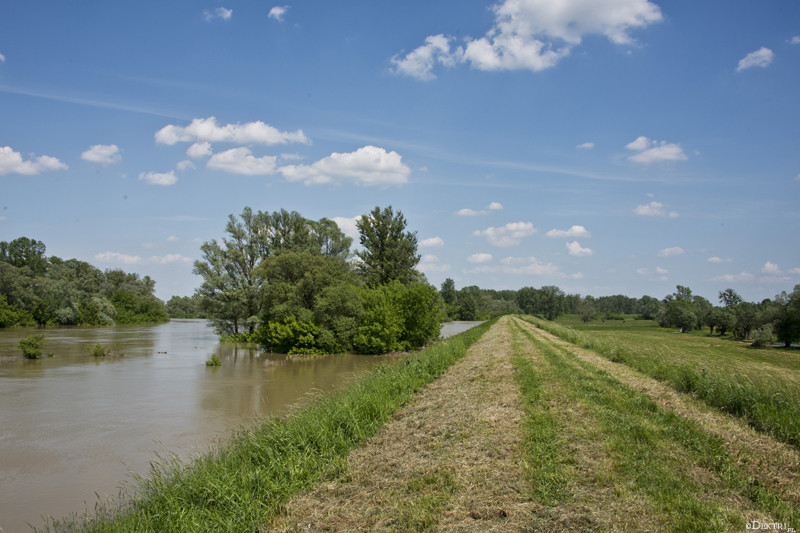 Kromnów. Historia wiecznie żywa