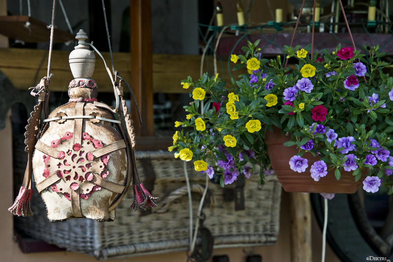 Kromnów. Historia wiecznie żywa