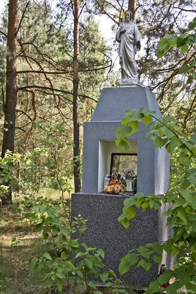 Kromnów. Historia wiecznie żywa