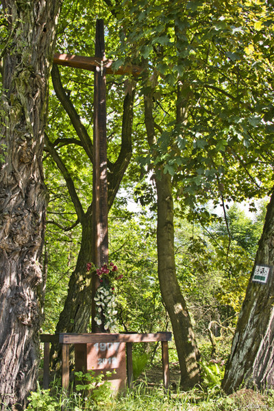 Kromnów. Historia wiecznie żywa