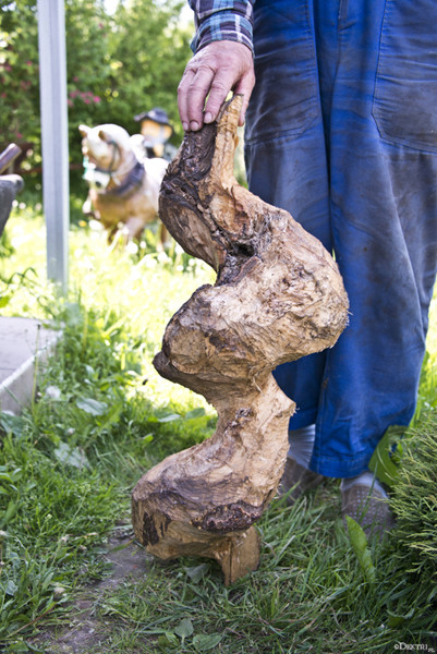 Kromnów. Historia wiecznie żywa