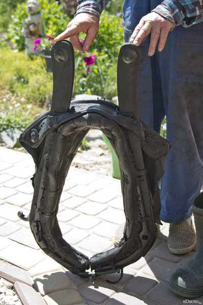 Kromnów. Historia wiecznie żywa