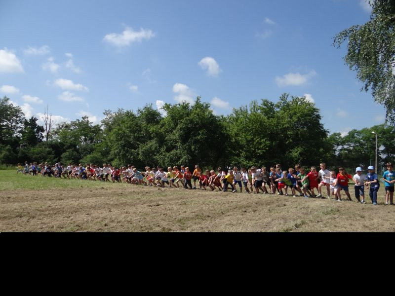 XXII Europejskie Biegi Młodych Olimpijczyków Sochaczew ? Bielice?2014