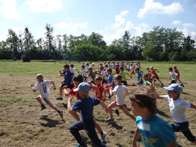 XXII Europejskie Biegi Młodych Olimpijczyków Sochaczew ? Bielice?2014