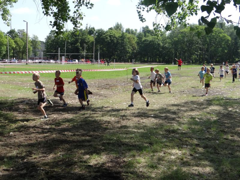 XXII Europejskie Biegi Młodych Olimpijczyków Sochaczew ? Bielice?2014