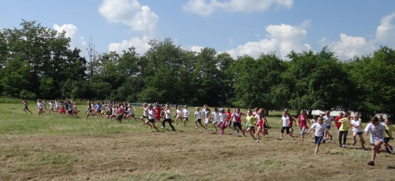 XXII Europejskie Biegi Młodych Olimpijczyków Sochaczew ? Bielice?2014