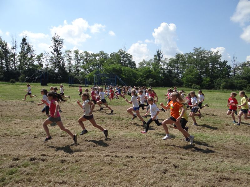 XXII Europejskie Biegi Młodych Olimpijczyków Sochaczew ? Bielice?2014