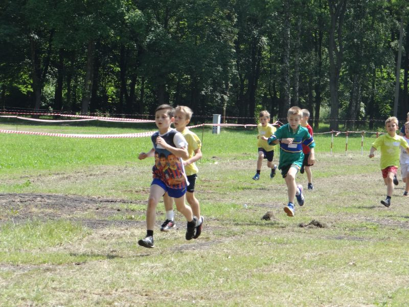 XXII Europejskie Biegi Młodych Olimpijczyków Sochaczew ? Bielice?2014