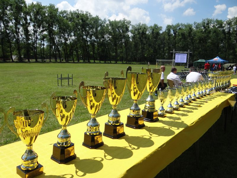 XXII Europejskie Biegi Młodych Olimpijczyków Sochaczew ? Bielice?2014