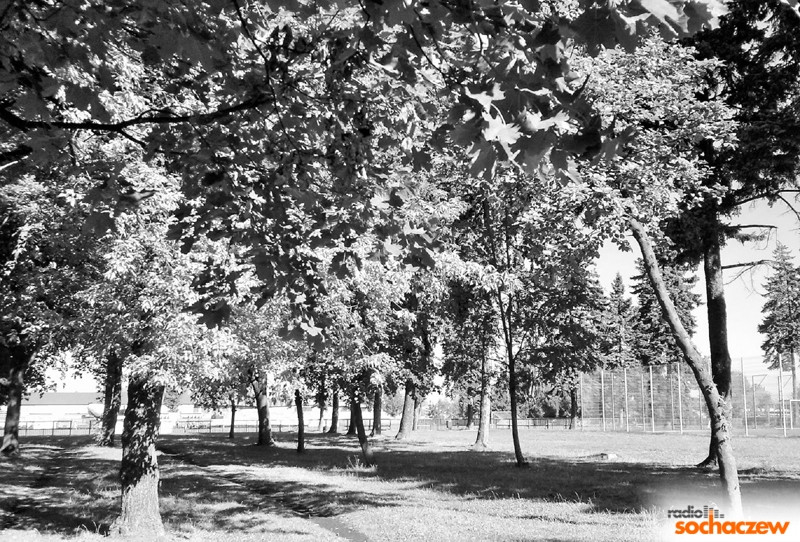 Kamera... akcja! 9.12.2014