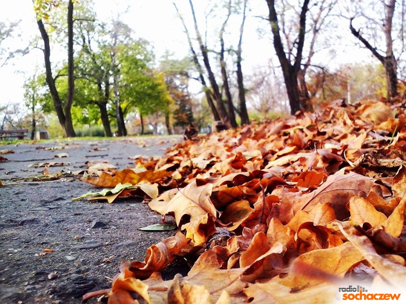 Kamera... akcja! 9.12.2014