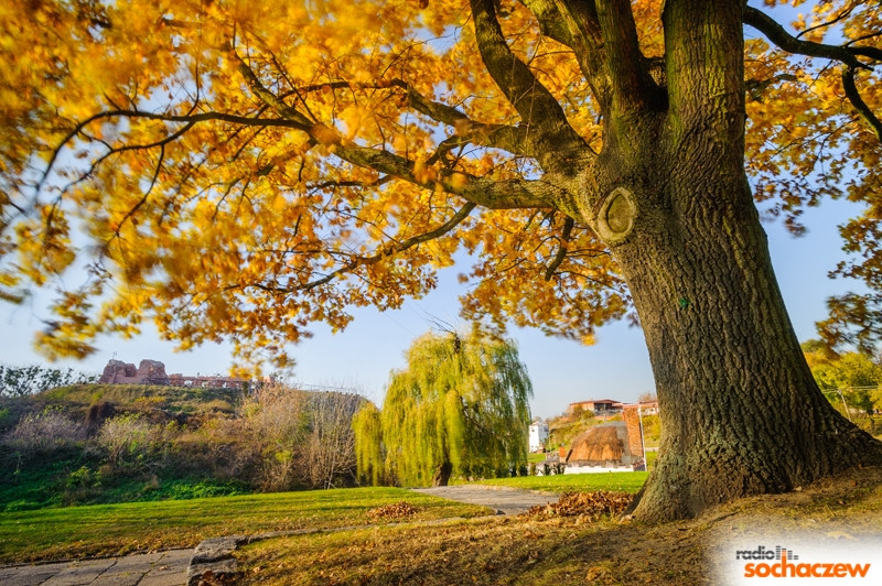 Kamera... akcja! 9.12.2014