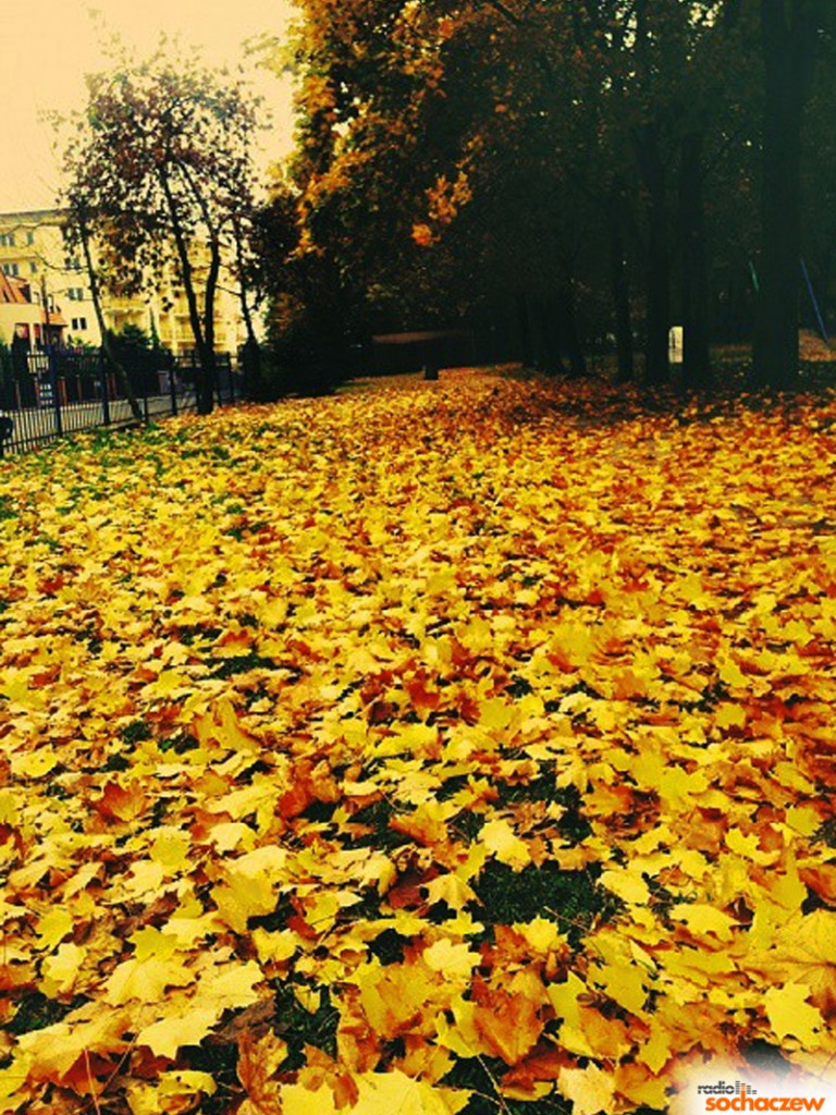 Kamera... akcja! 9.12.2014