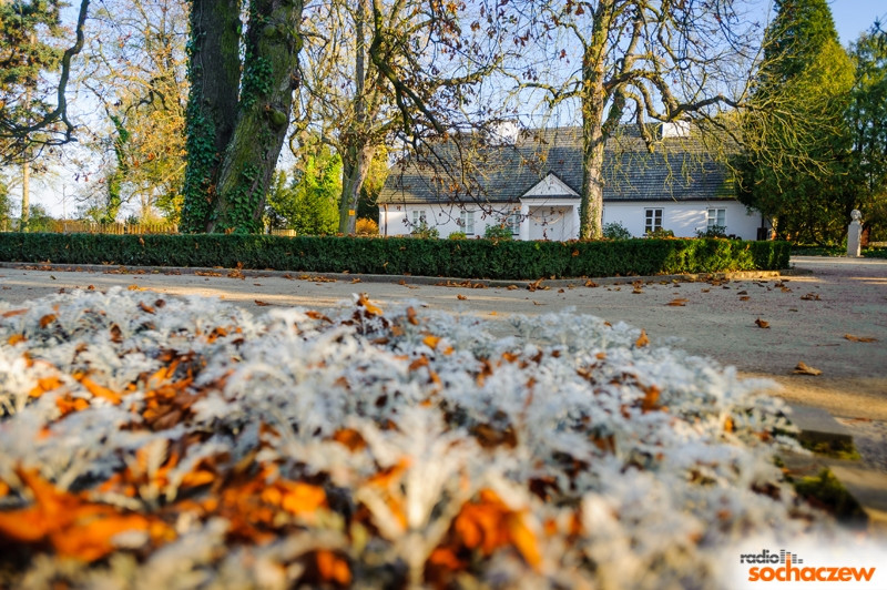 Kamera... akcja! 9.12.2014