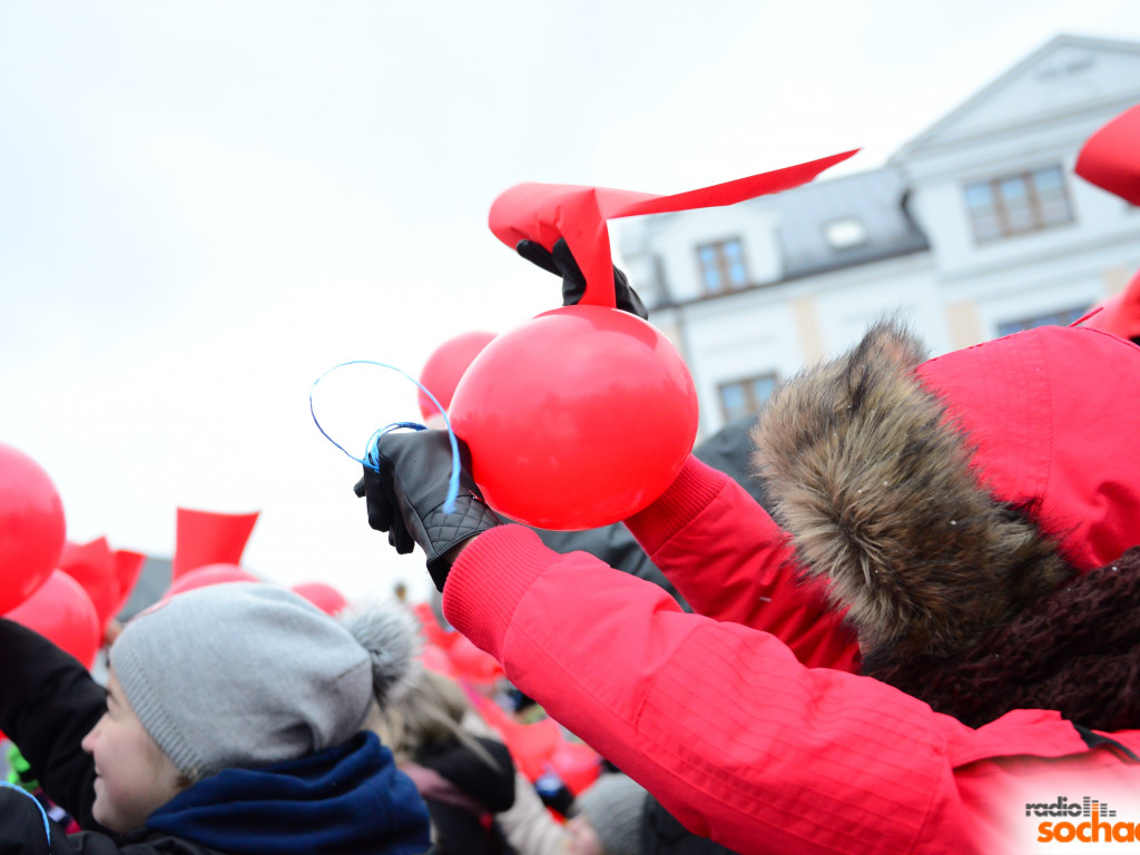 WOŚP z Radiem Sochaczew - fotorelacja - serce Sochaczewa