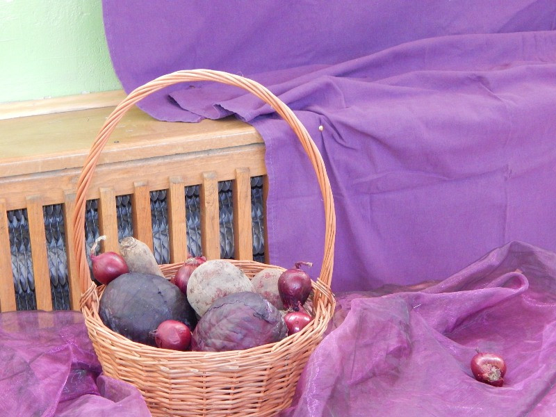 Zdrowo i kolorowo w Lasocinie