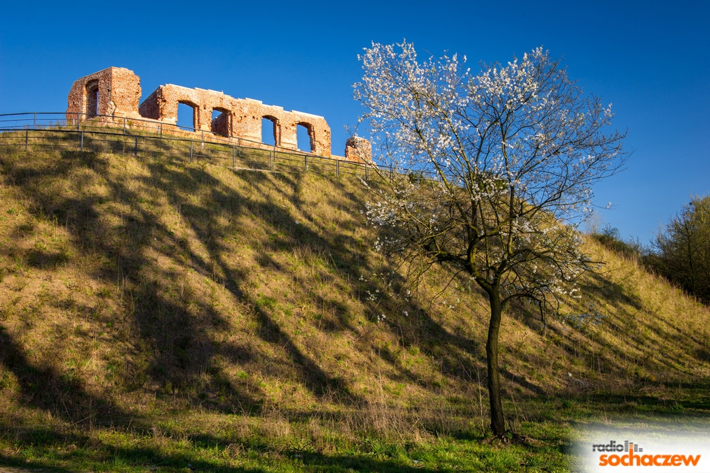 Wiosenny konkurs fotograficzny Radia Sochaczew rozstrzygnięty
