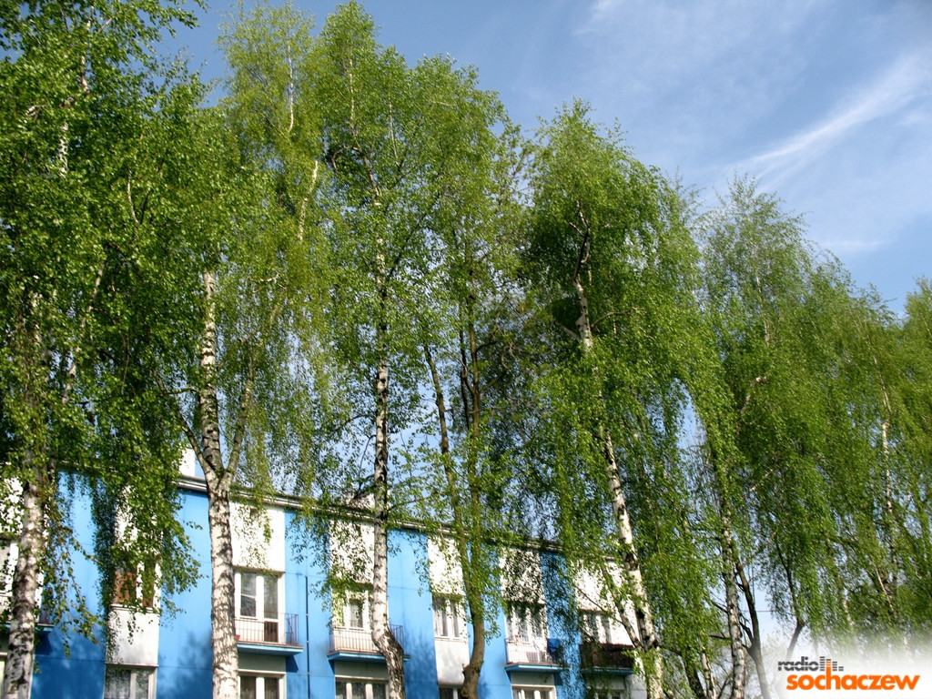 Wiosenny konkurs fotograficzny Radia Sochaczew rozstrzygnięty