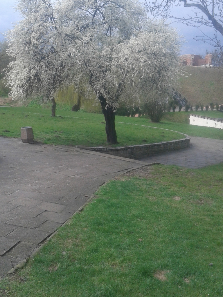 Wiosenny konkurs fotograficzny Radia Sochaczew rozstrzygnięty