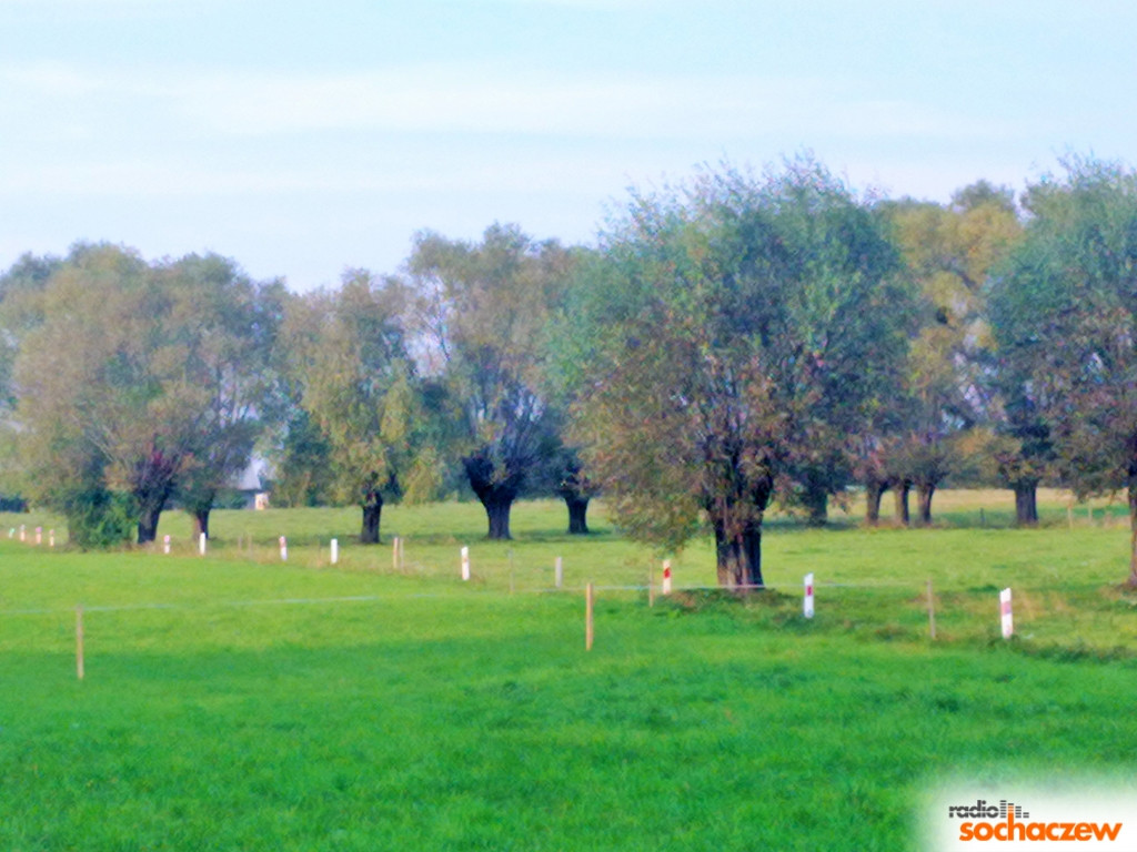 Wiosenny konkurs fotograficzny Radia Sochaczew rozstrzygnięty