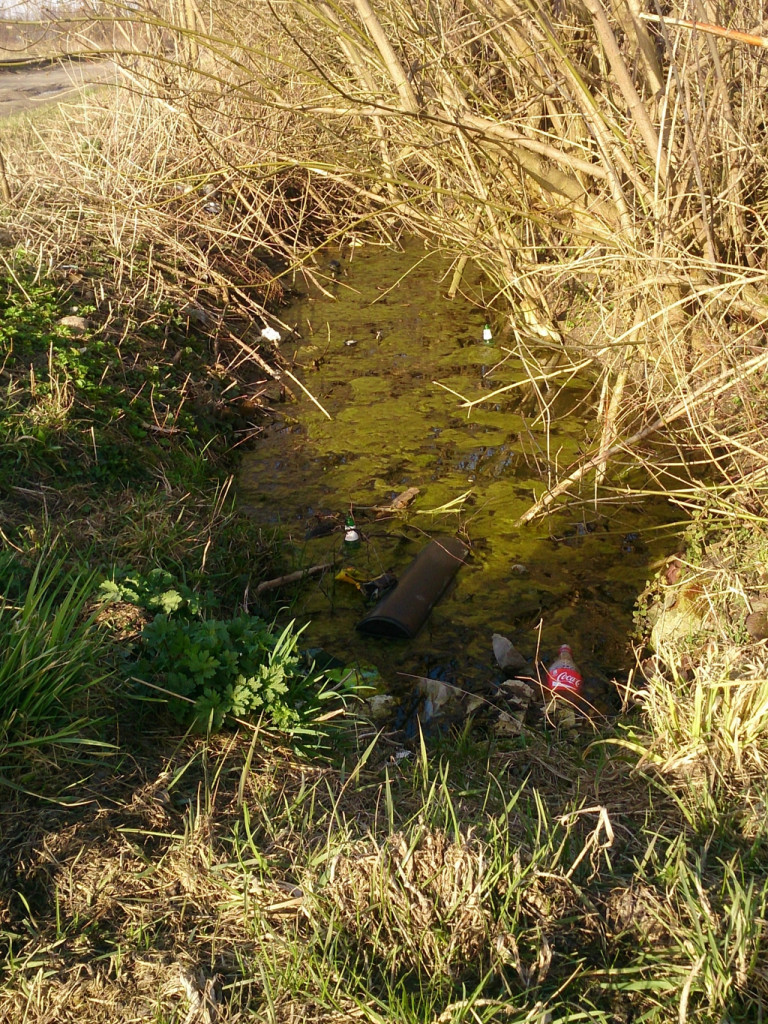 Wiosenny konkurs fotograficzny Radia Sochaczew rozstrzygnięty