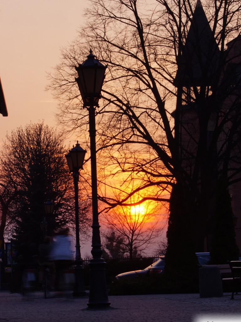 Wiosenny konkurs fotograficzny Radia Sochaczew rozstrzygnięty