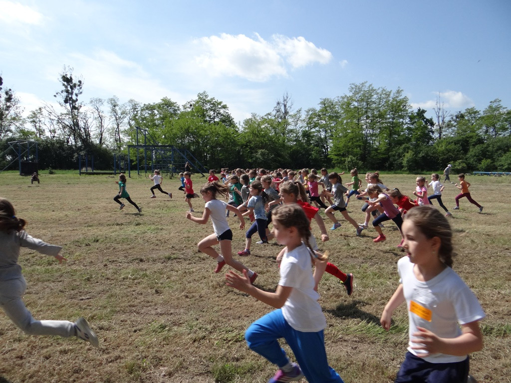 23. Europejskie Biegi Młodych Olimpijczyków!