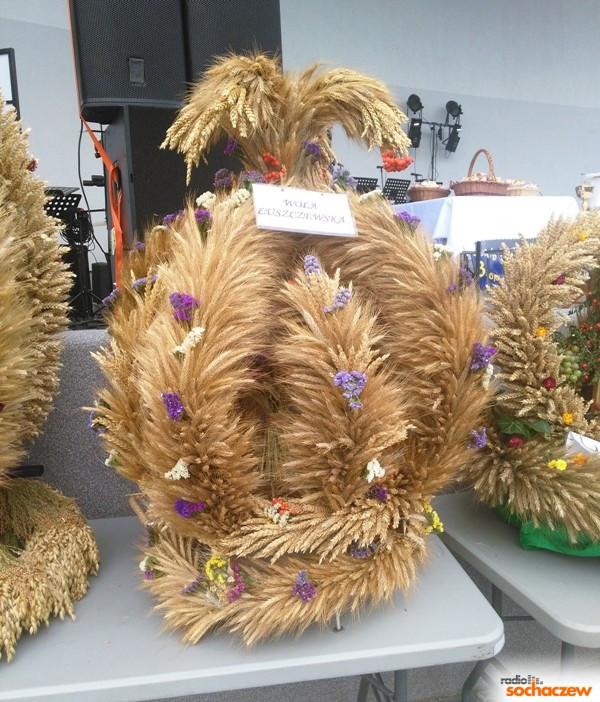 Dożynki w Błoniu - fotogaleria