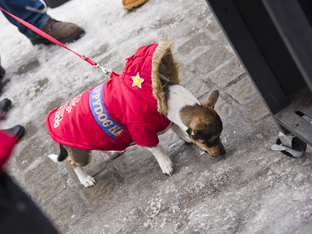 Cały Sochaczew zbiera na WOŚP