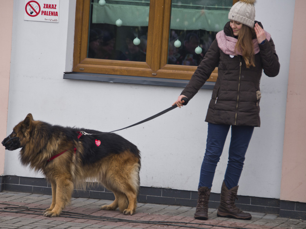 Cały Sochaczew zbiera na WOŚP