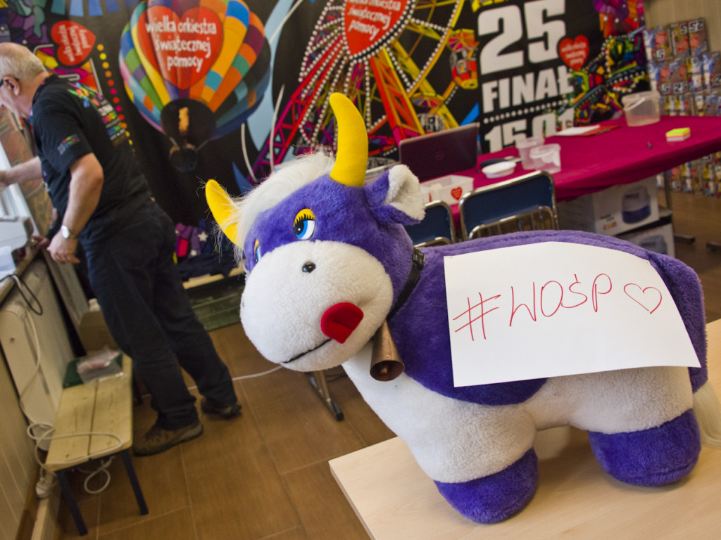 Cały Sochaczew zbiera na WOŚP