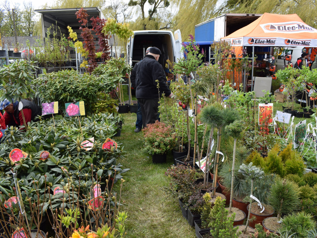 Niedziela na Targach