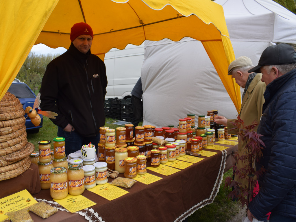 Niedziela na Targach