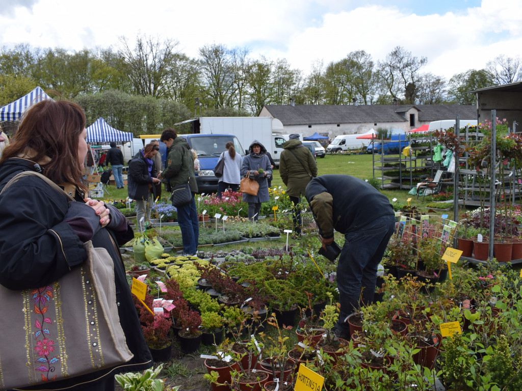 Niedziela na Targach