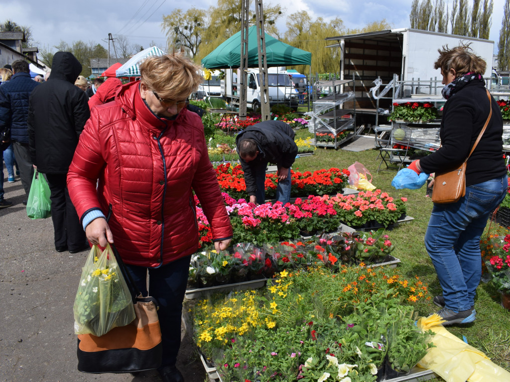 Niedziela na Targach