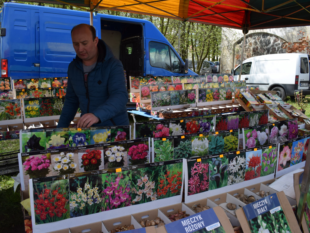 Niedziela na Targach