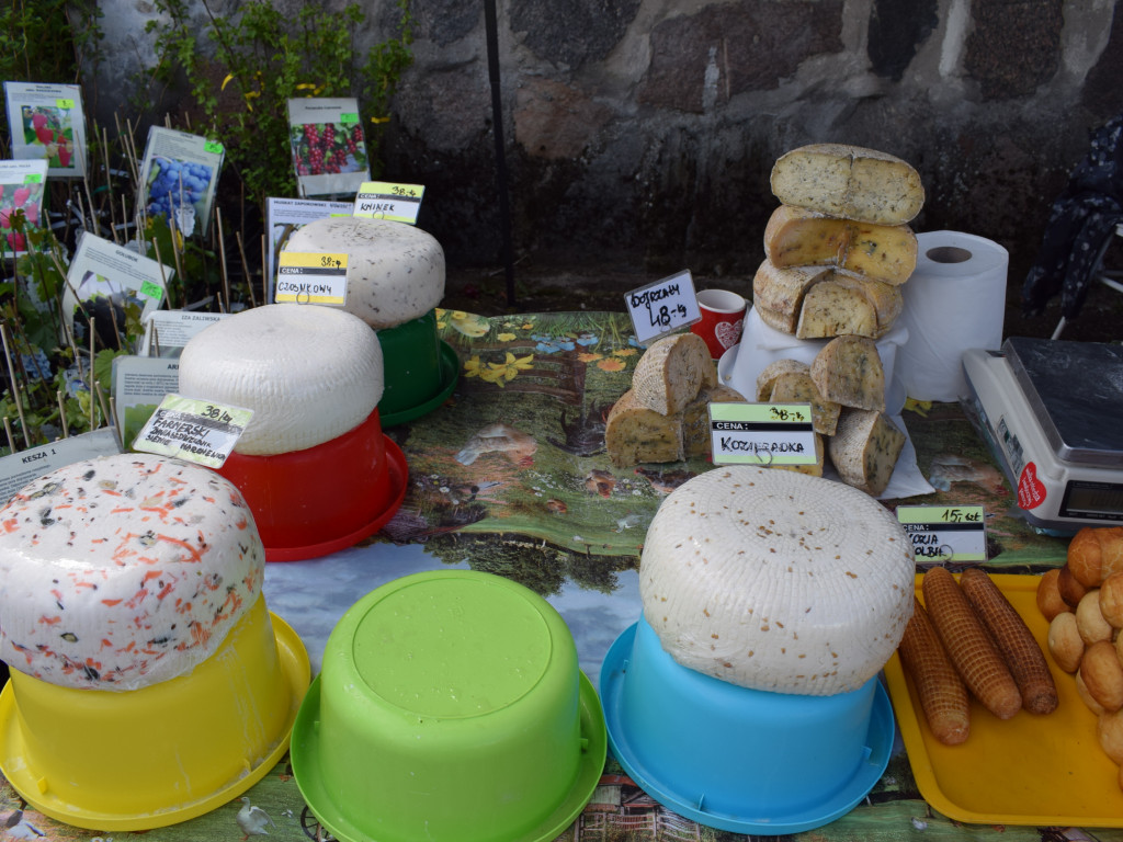 Niedziela na Targach