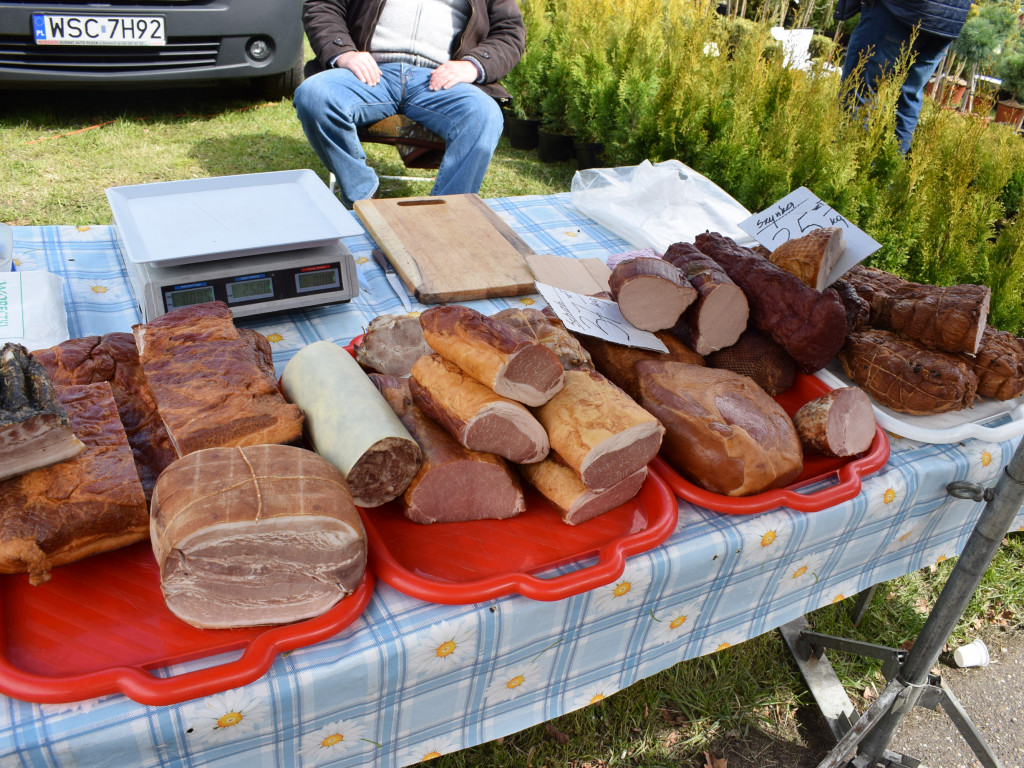 Niedziela na Targach