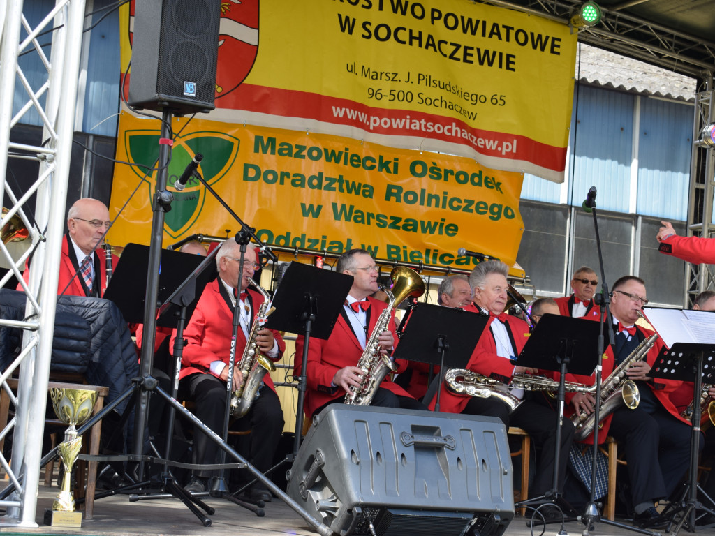 Niedziela na Targach